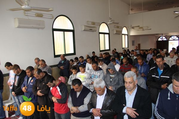 jarhoshuy msajed 0110 (8).JPG